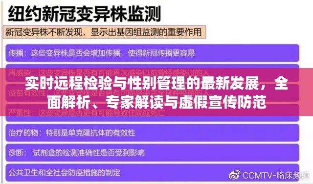 实时远程检验与性别管理的最新发展,全面解析、专家解读与虚假宣传防范