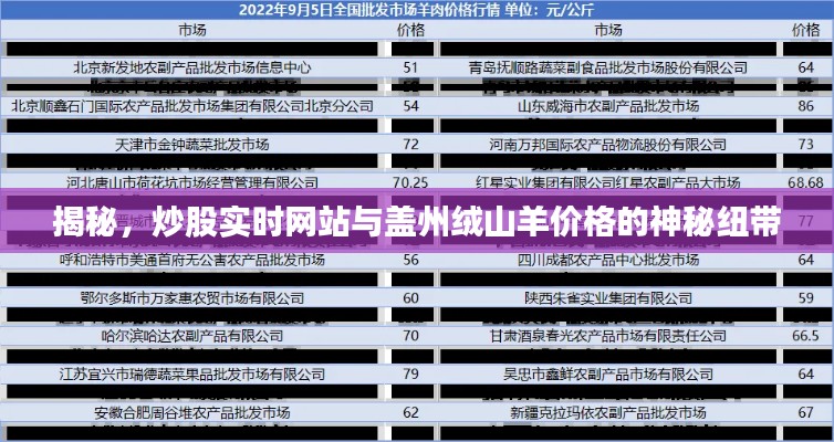 揭秘,炒股实时网站与盖州绒山羊价格的神秘纽带