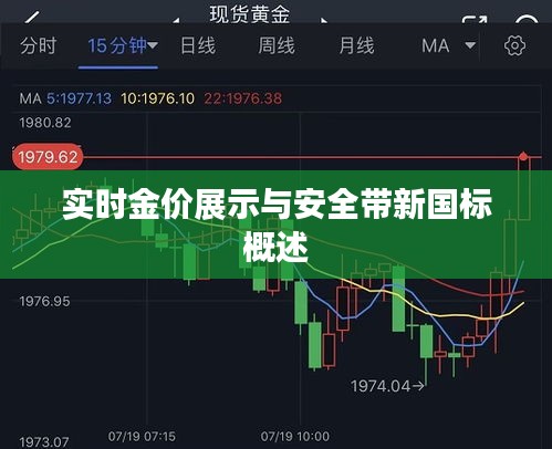 实时金价展示与安全带新国标概述