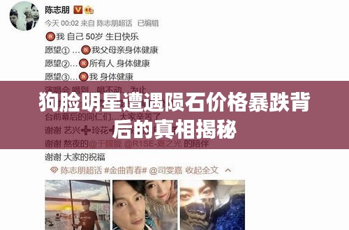 狗脸明星遭遇陨石价格暴跌背后的真相揭秘