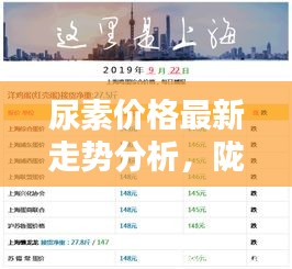尿素价格最新走势分析,陇南地区尿素价格实时播报与路况动态更新