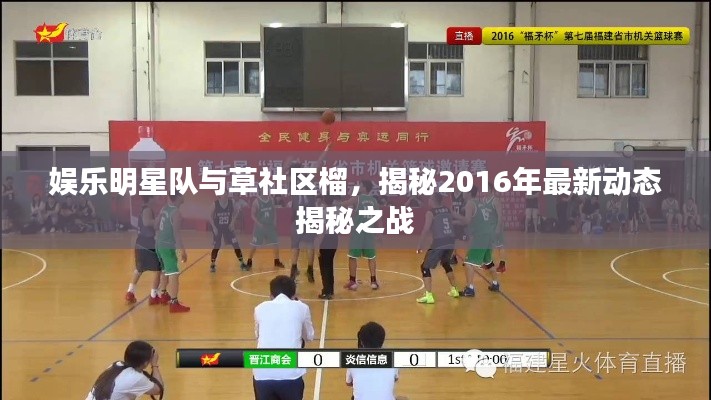 娱乐明星队与草社区榴,揭秘2016年最新动态揭秘之战