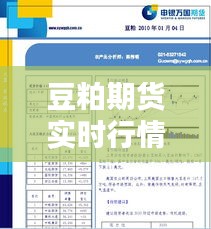 豆粕期货实时行情及韦瑞灵最新动态
