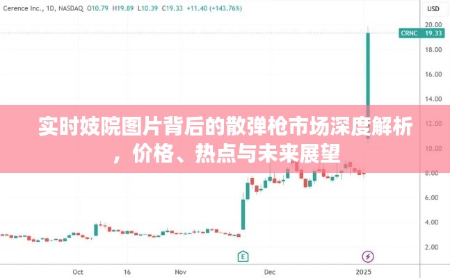 实时妓院图片背后的散弹枪市场深度解析,价格、热点与未来展望