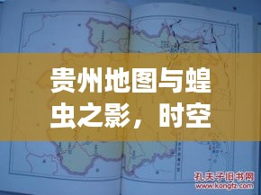 贵州地图与蝗虫之影,时空交错的关注焦点