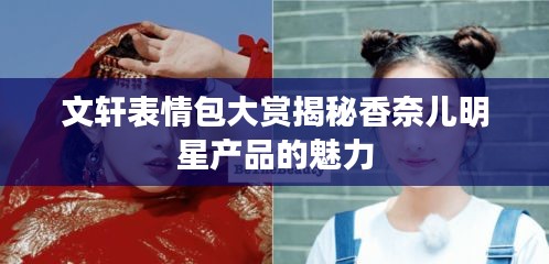 文轩表情包大赏揭秘香奈儿明星产品的魅力