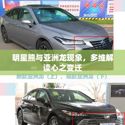 明星熊与亚洲龙现象,多维解读心之变迁