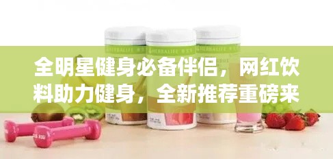 全明星健身必备伴侣,网红饮料助力健身,全新推荐重磅来袭!