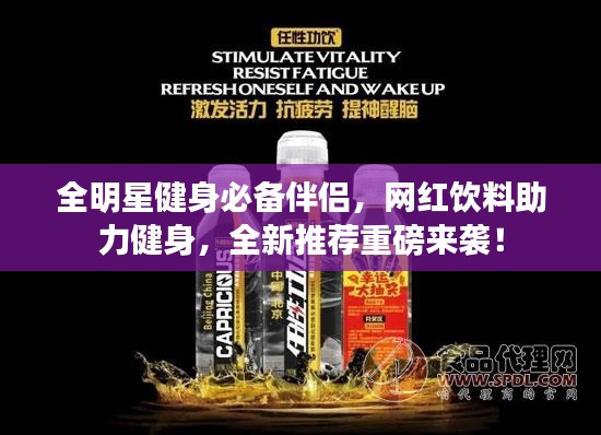 全明星健身必备伴侣，网红饮料助力健身，全新推荐重磅来袭！