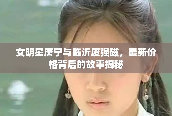 女明星唐宁与临沂废强磁，最新价格背后的故事揭秘