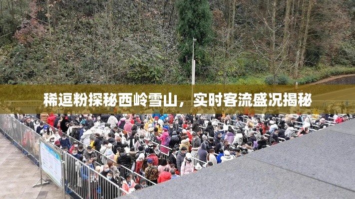 稀逗粉探秘西岭雪山,实时客流盛况揭秘
