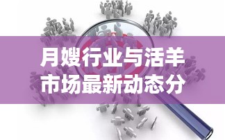 月嫂行业与活羊市场最新动态分析,行业趋势与专业洞察