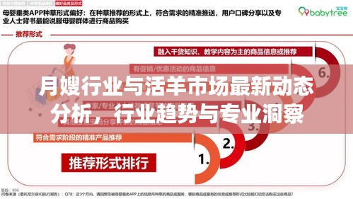月嫂行业与活羊市场最新动态分析,行业趋势与专业洞察