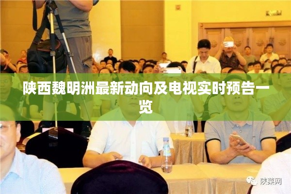 陕西魏明洲最新动向及电视实时预告一览