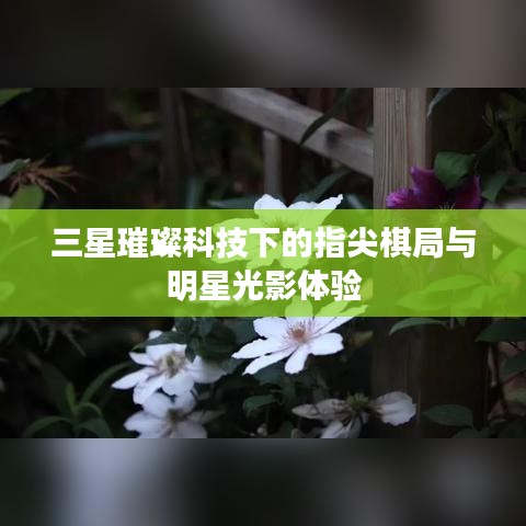 三星璀璨科技下的指尖棋局与明星光影体验