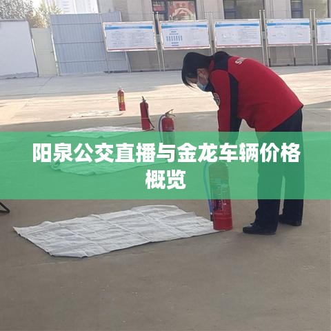 阳泉公交直播与金龙车辆价格概览