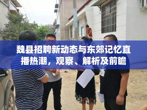 魏县招聘新动态与东郊记忆直播热潮,观察、解析及前瞻