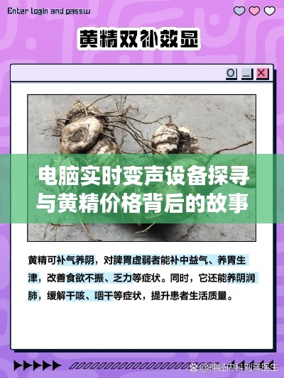电脑实时变声设备探寻与黄精价格背后的故事揭秘