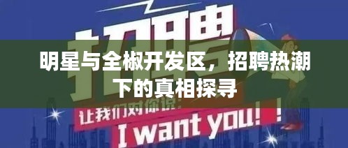 明星与全椒开发区,招聘热潮下的真相探寻