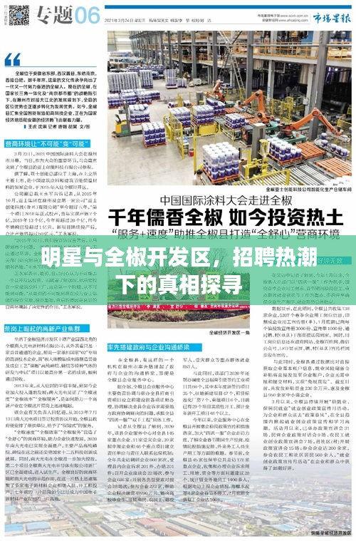 明星与全椒开发区,招聘热潮下的真相探寻