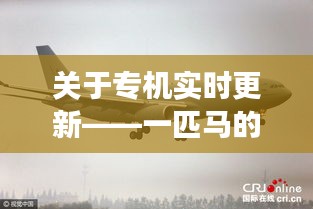 关于专机实时更新——一匹马的价格是多少的详细解读