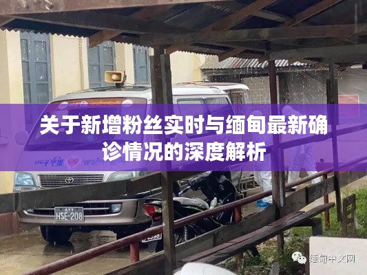关于新增粉丝实时与缅甸最新确诊情况的深度解析