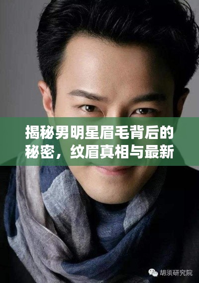 揭秘男明星眉毛背后的秘密,纹眉真相与最新潮流社区探索