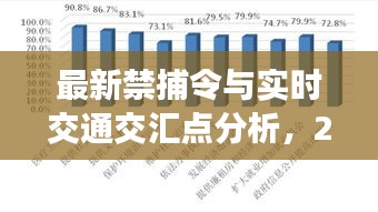 最新禁捕令与实时交通交汇点分析，2019年政策影响解读