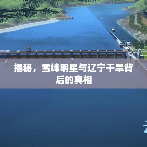 揭秘，雪峰明星与辽宁干旱背后的真相