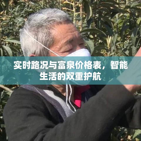 实时路况与富泉价格表,智能生活的双重护航