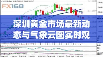 深圳黄金市场最新动态与气象云图实时观察分析