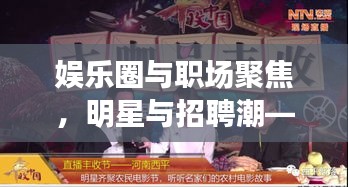 娱乐圈与职场聚焦,明星与招聘潮——165cm明星与辉县C1司机招聘动态