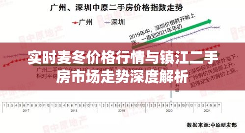 实时麦冬价格行情与镇江二手房市场走势深度解析