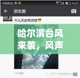 哈尔滨台风来袭,风声与心语交织的实时记录与体验