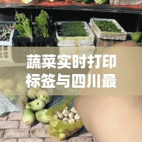 蔬菜实时打印标签与四川最新翻译，核心要求、实施路径与风险防范