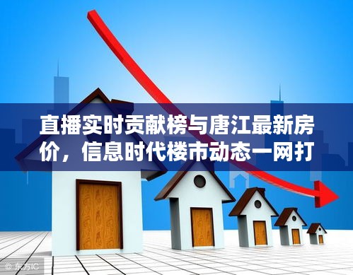 直播实时贡献榜与唐江最新房价，信息时代楼市动态一网打尽