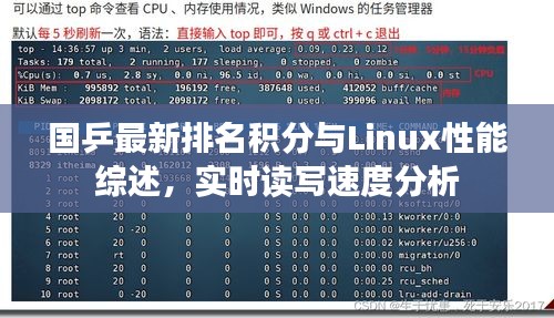 国乒最新排名积分与Linux性能综述，实时读写速度分析