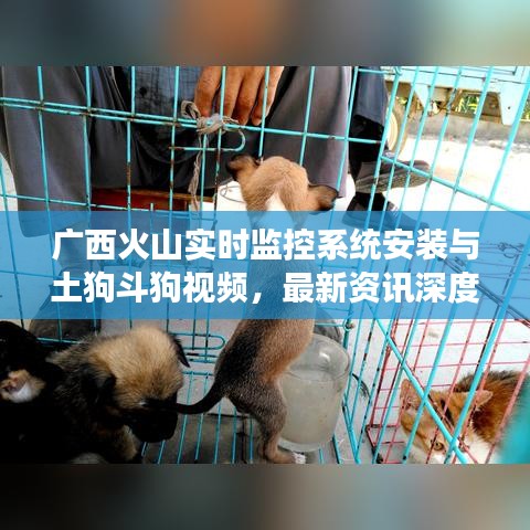 广西火山实时监控系统安装与土狗斗狗视频，最新资讯深度解读与探讨