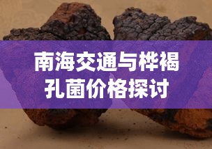 南海交通与桦褐孔菌价格探讨