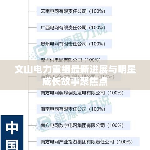 文山电力重组最新进展与明星成长故事聚焦点
