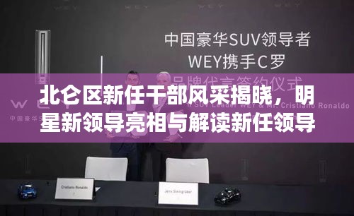 北仑区新任干部风采揭晓，明星新领导亮相与解读新任领导风采