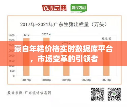 蒙自年糕价格实时数据库平台，市场变革的引领者