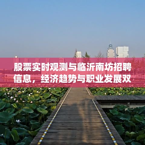 股票实时观测与临沂南坊招聘信息，经济趋势与职业发展双重聚焦