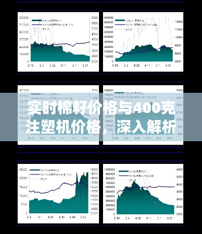 实时棉籽价格与400克注塑机价格，深入解析及应用指南