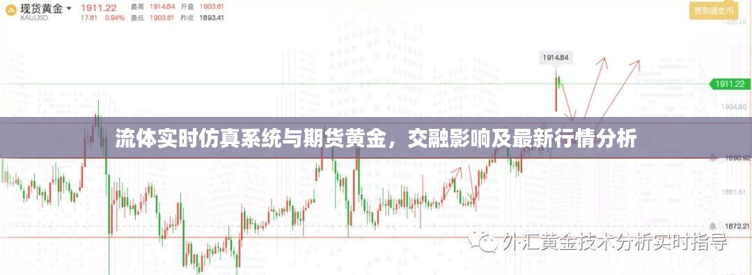 流体实时仿真系统与期货黄金，交融影响及最新行情分析