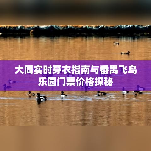 大同实时穿衣指南与番禺飞鸟乐园门票价格探秘