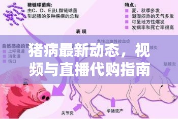 猪病最新动态，视频与直播代购指南，预防与应对策略