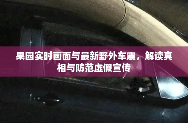 果园实时画面与最新野外车震,解读真相与防范虚假宣传