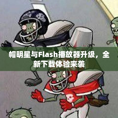 帽明星与Flash播放器升级,全新下载体验来袭