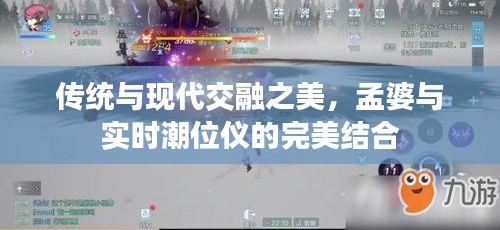 传统与现代交融之美,孟婆与实时潮位仪的完美结合